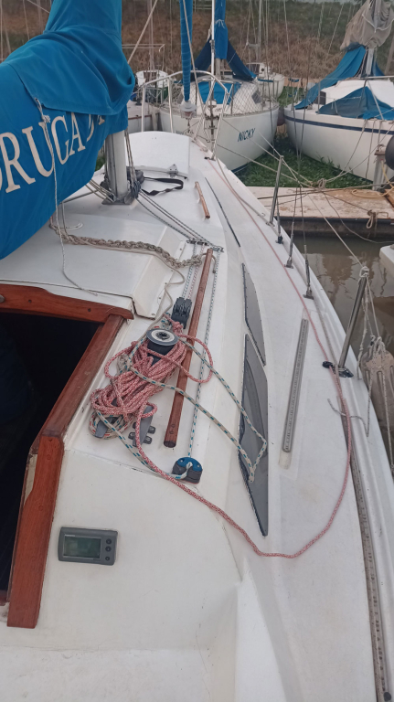 veleros - YATE DE VELA  - NAUTILUS 810