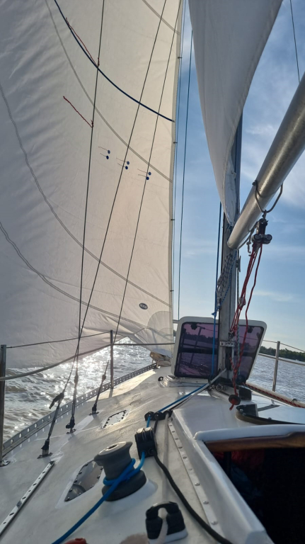 veleros - YATE DE VELA - OPORTUNIDAD - MIURA 25