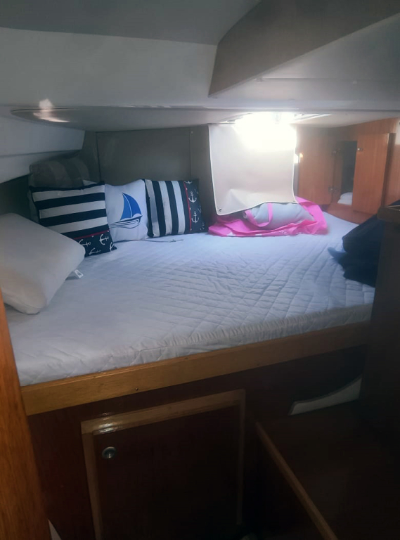 cruceros - CATAMARAN - CAT 700