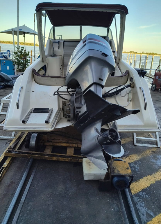 cruceros - DAYCRUISER - FISH CABIN 600