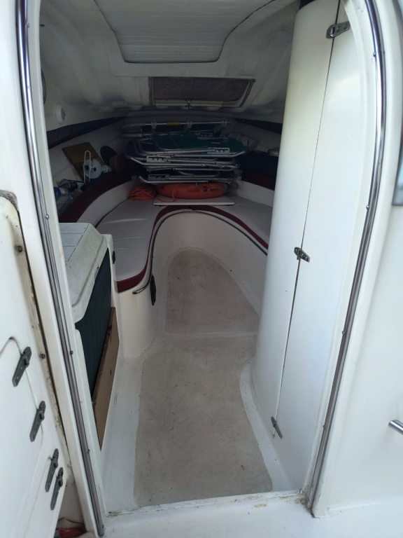 cruceros - DAYCRUISER - FISH CABIN 600