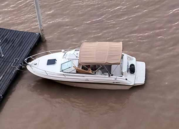 lanchas - LANCHA CUDDY - CANESTRARI 215