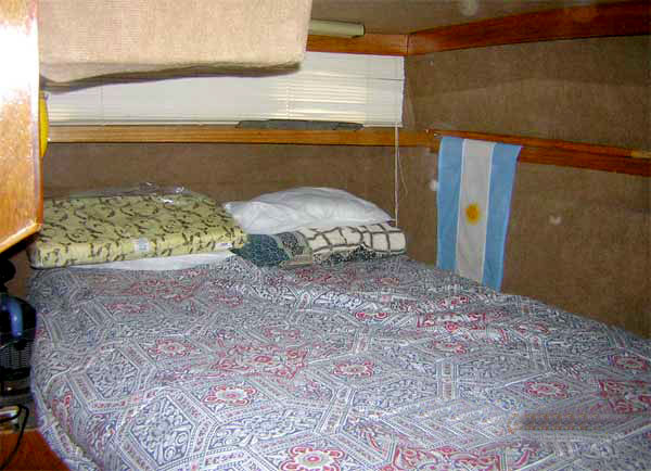 cruceros - YATE MOTOR  - CARVER 33 AMERICANO