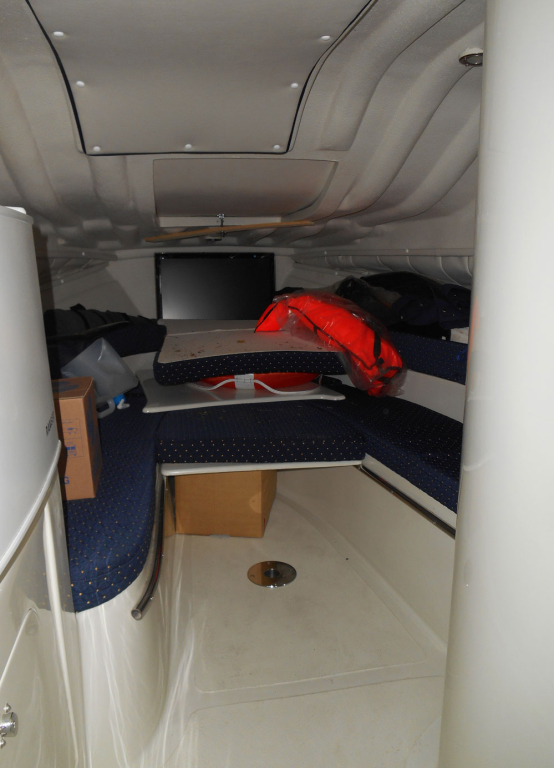 cruceros - DAYCRUISER - VISION CABIN 665