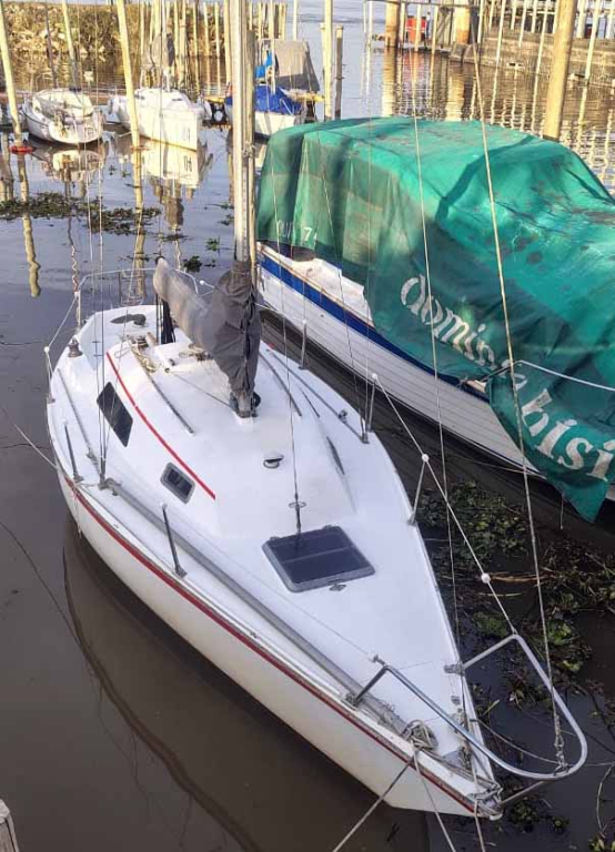 veleros - YATE DE VELA - OPORTUNIDAD - PETERSON 26
