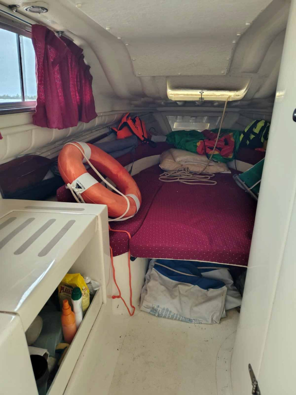 cruceros - DAYCRUISER - VISION CABIN 665